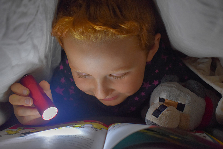 懐中電灯で絵本を読む子ども